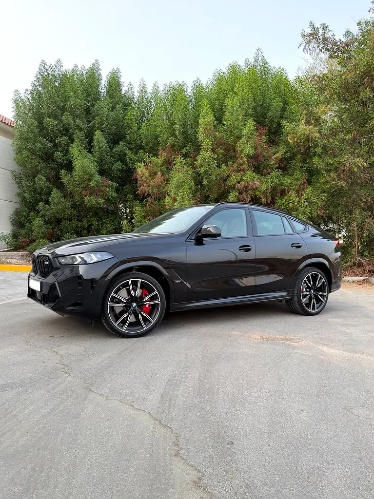 BMW X6